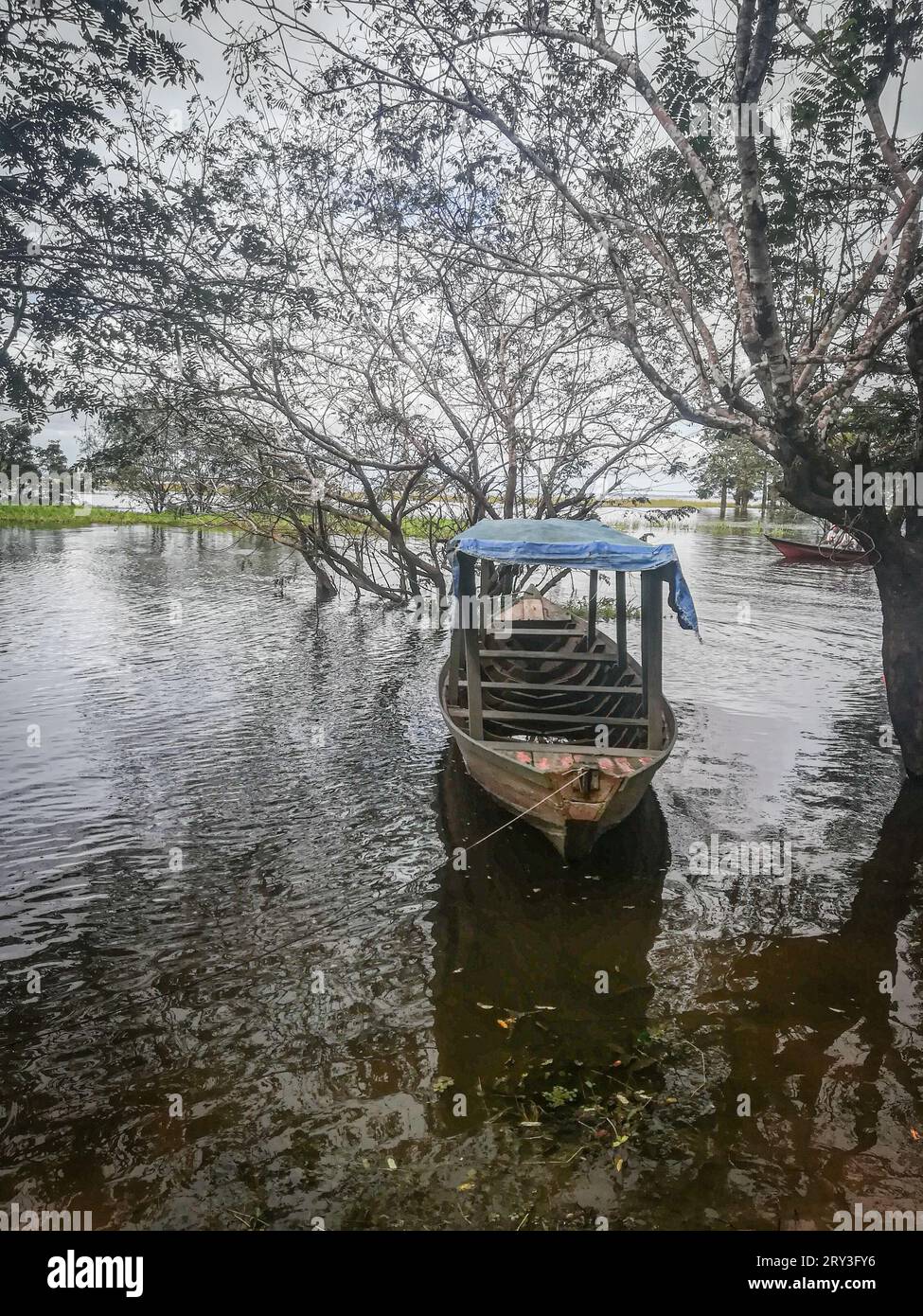 Blick auf den Amazonasfluss und traditionelle Boote im brasilianischen Regenwald, Amazonasfluss Stockfoto