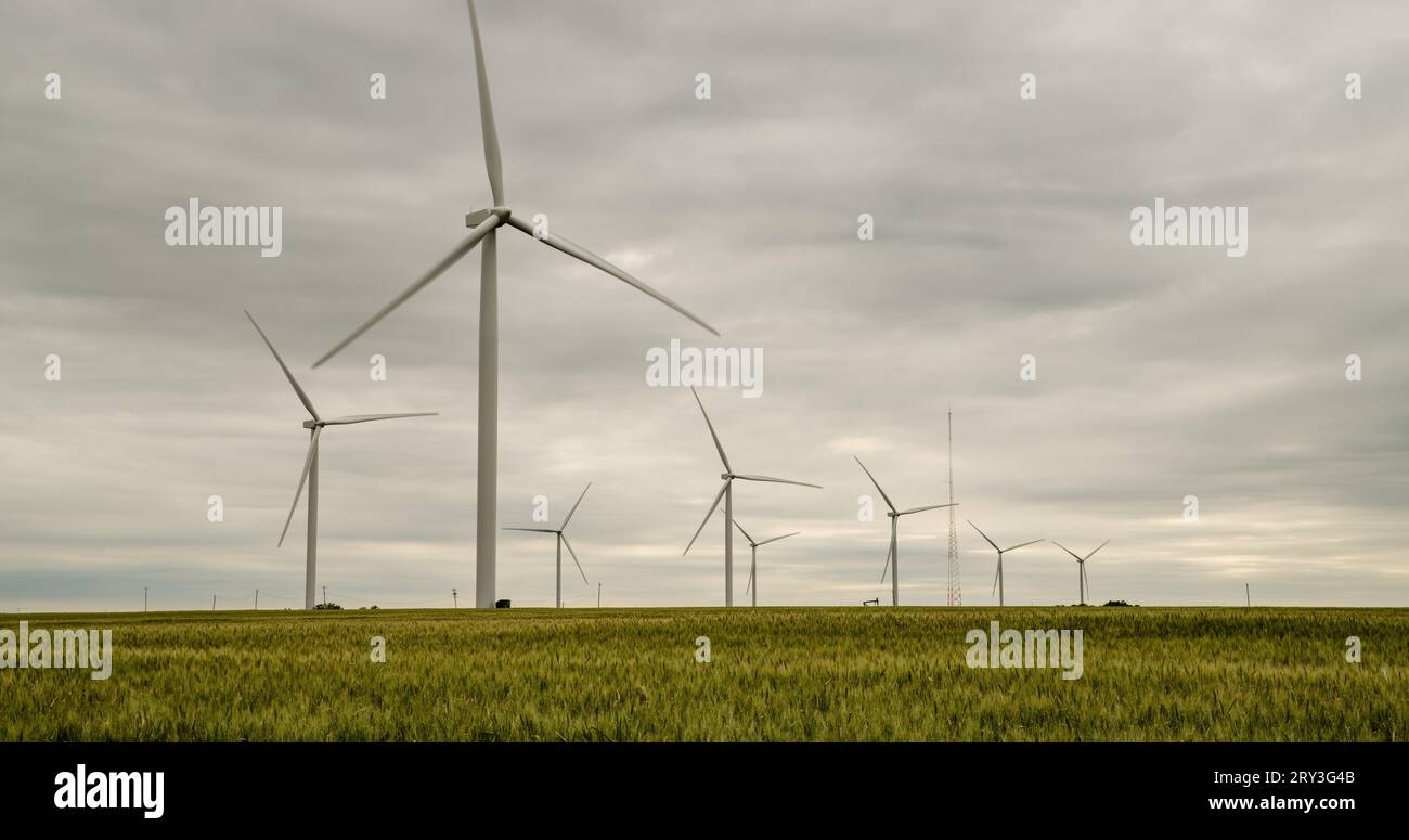 Traumhafte Vision von Windturbinen, die über einem grünen Weizenfeld und unter einem strukturlosen grauen Himmel aufragen. Stockfoto