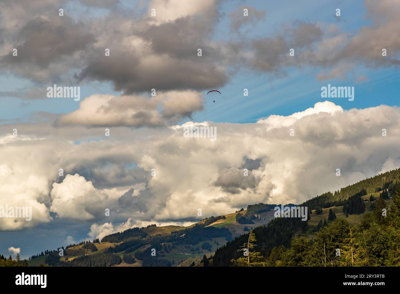 Ein Gleitschirmflieger schwebt zwischen aufragenden Kumuluswolken über den bewaldeten Hängen in der Nähe von Jaun, Kanton Freiburg, Schweiz, nahe dem Schwarzsee. Stockfoto