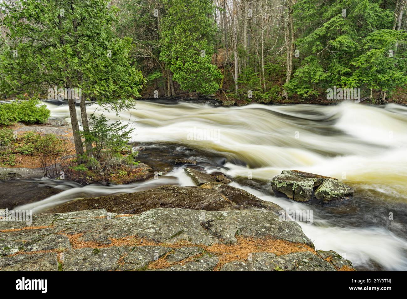 Rapids direkt über Buttermilk Falls, Adirondack Park, Long Lake, Hamilton Co., New York Stockfoto