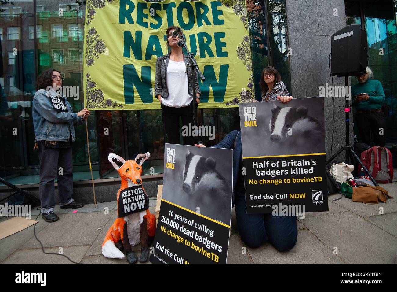 London, Großbritannien. 28. September 2023. Ein Redner des Dachs-Trusts fordert die Regierung auf, die Dachs-Keulung jetzt zu verbieten. Vertreter von mehr als 40 Wildtier- und Umwelt-NGOs schlossen sich heute den BBC Wildlife Television Moderatoren Chris Packham und Megan McCubbin vor den Büros des Department for Environment Food & Rural Affairs (DEFRA) in London beim Restore Nature Now Protest an. Nach der Veröffentlichung des Berichts über den Zustand der Natur fordern Demonstranten und Umweltschützer Premierminister Rishi Sunak und die Regierung auf, mehr für den Schutz der Natur und der Umwelt im Vereinigten Königreich zu tun. Eins in s Stockfoto