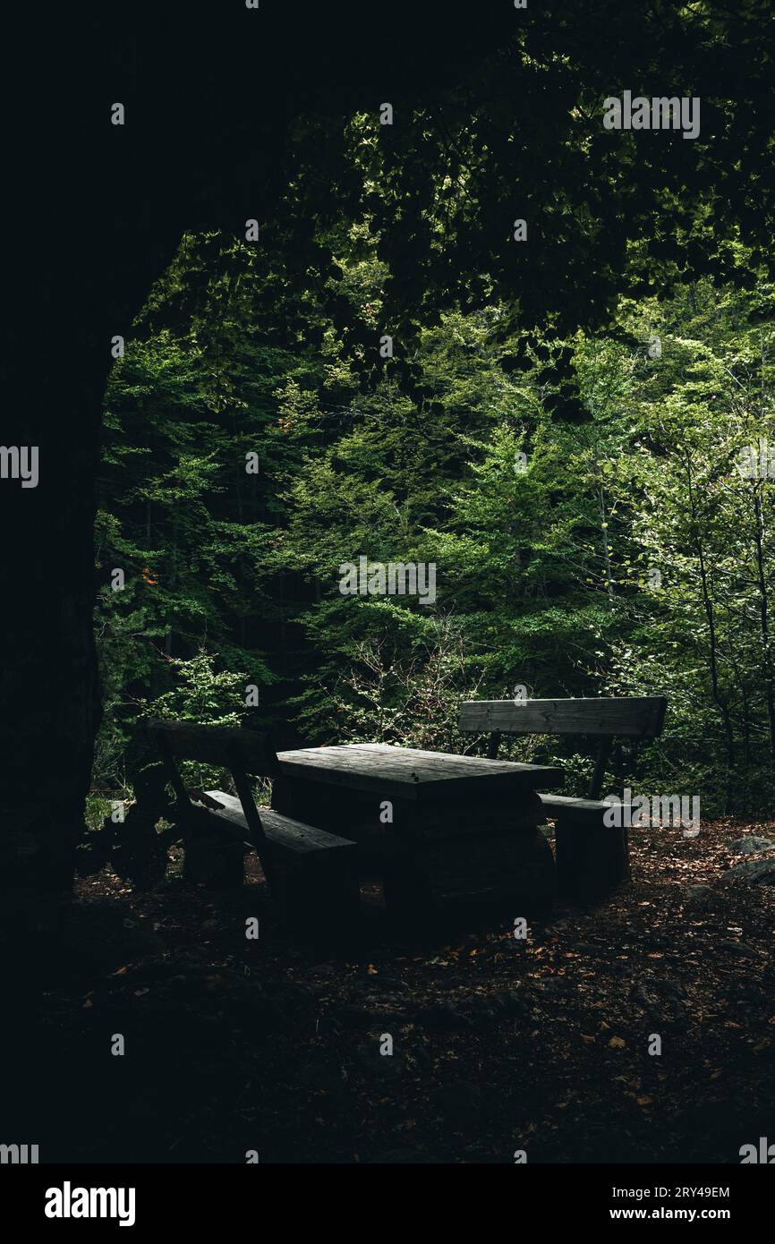 Entspannendes, ruhiges Hotel im Wald mit stimmungsvoller Umgebung. Stockfoto