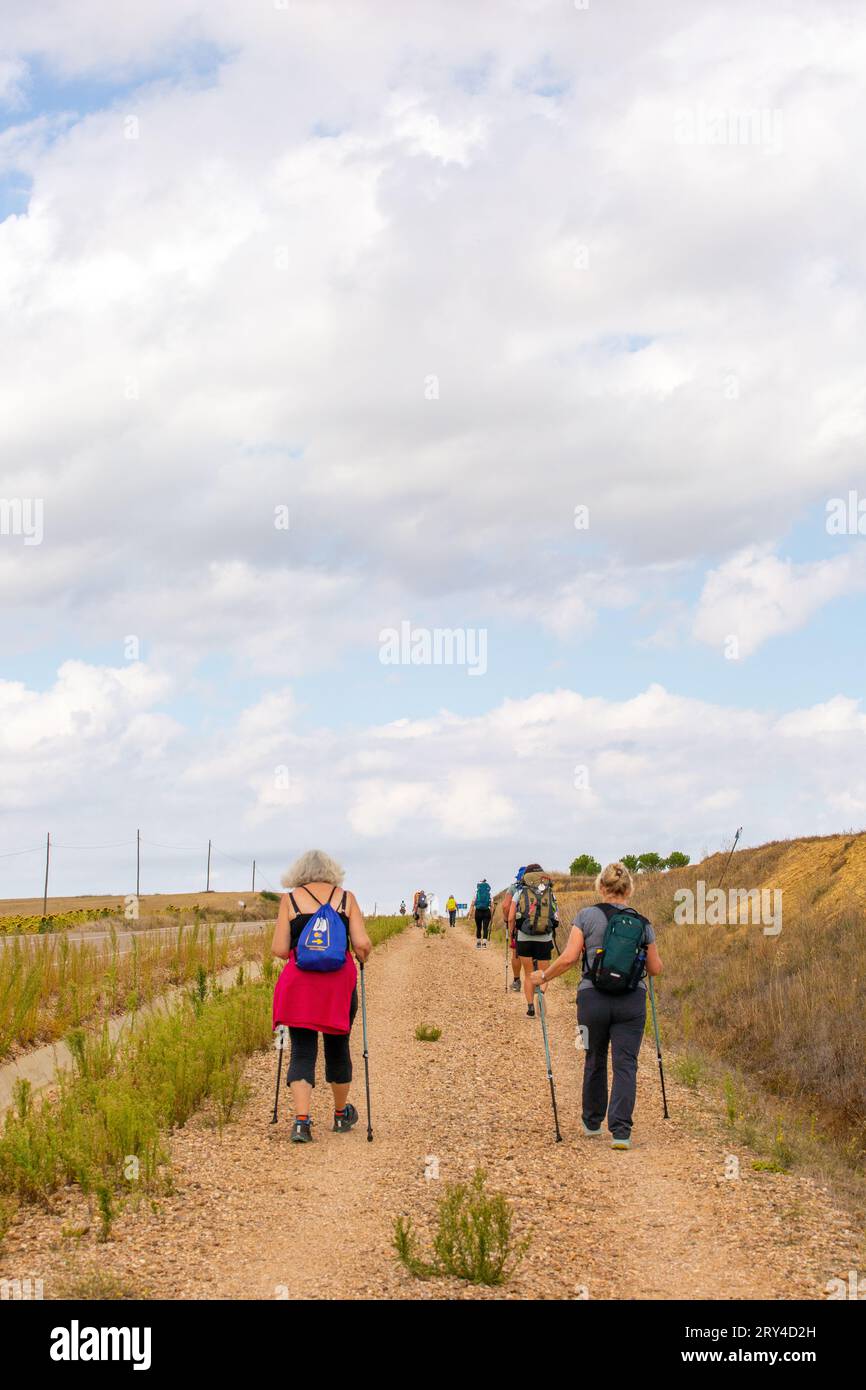 Pilger auf dem Jakobsweg, dem Jakobsweg, durch die spanische Landschaft zwischen Villalcazar und Carrion Spanien Stockfoto