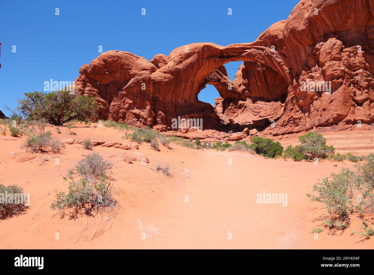 Arches National Park in Utah. Doppelbogen. Amerikanische Wüstenlandschaft. Stockfoto