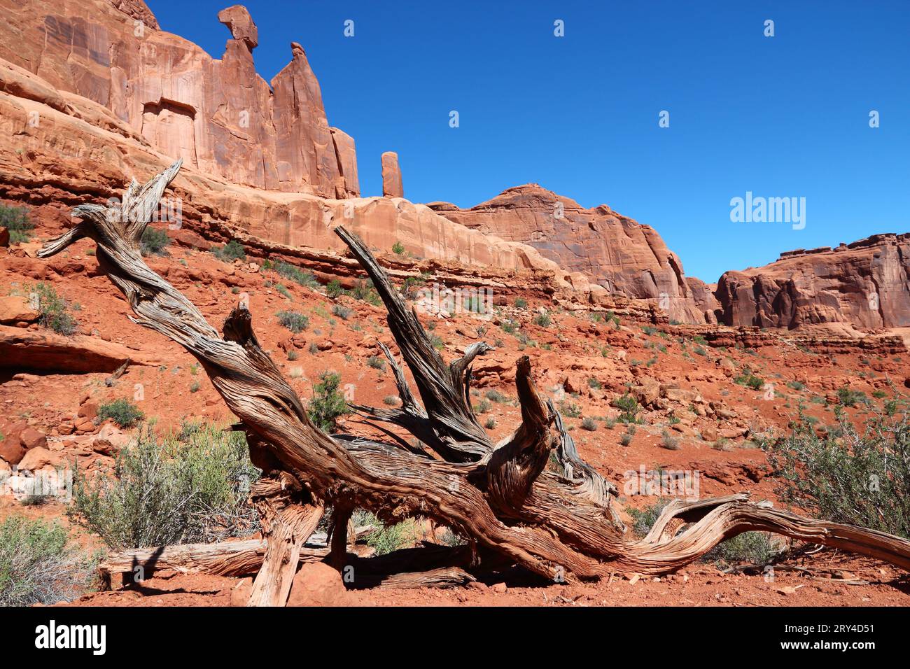 Arches National Park in Utah, USA. Park Avenue Wanderweg. Amerikanische Wüstenlandschaft. Stockfoto