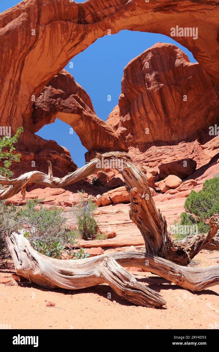 Arches National Park in Utah, USA. Doppelbogen. Amerikanische Wüstenlandschaft. Stockfoto
