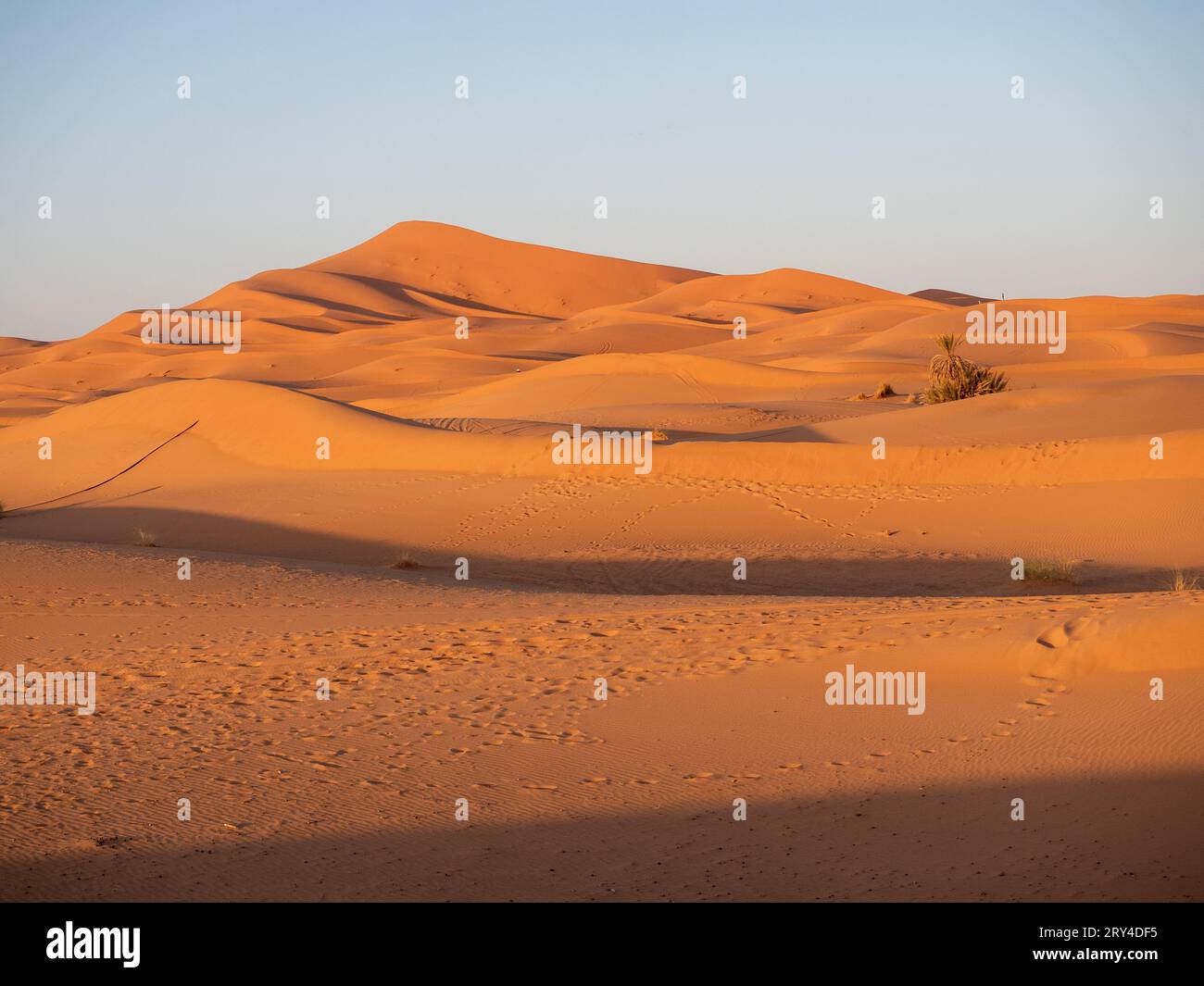 Wüstendünen des Erg Chebbi, Merzouga, Marokko Stockfoto