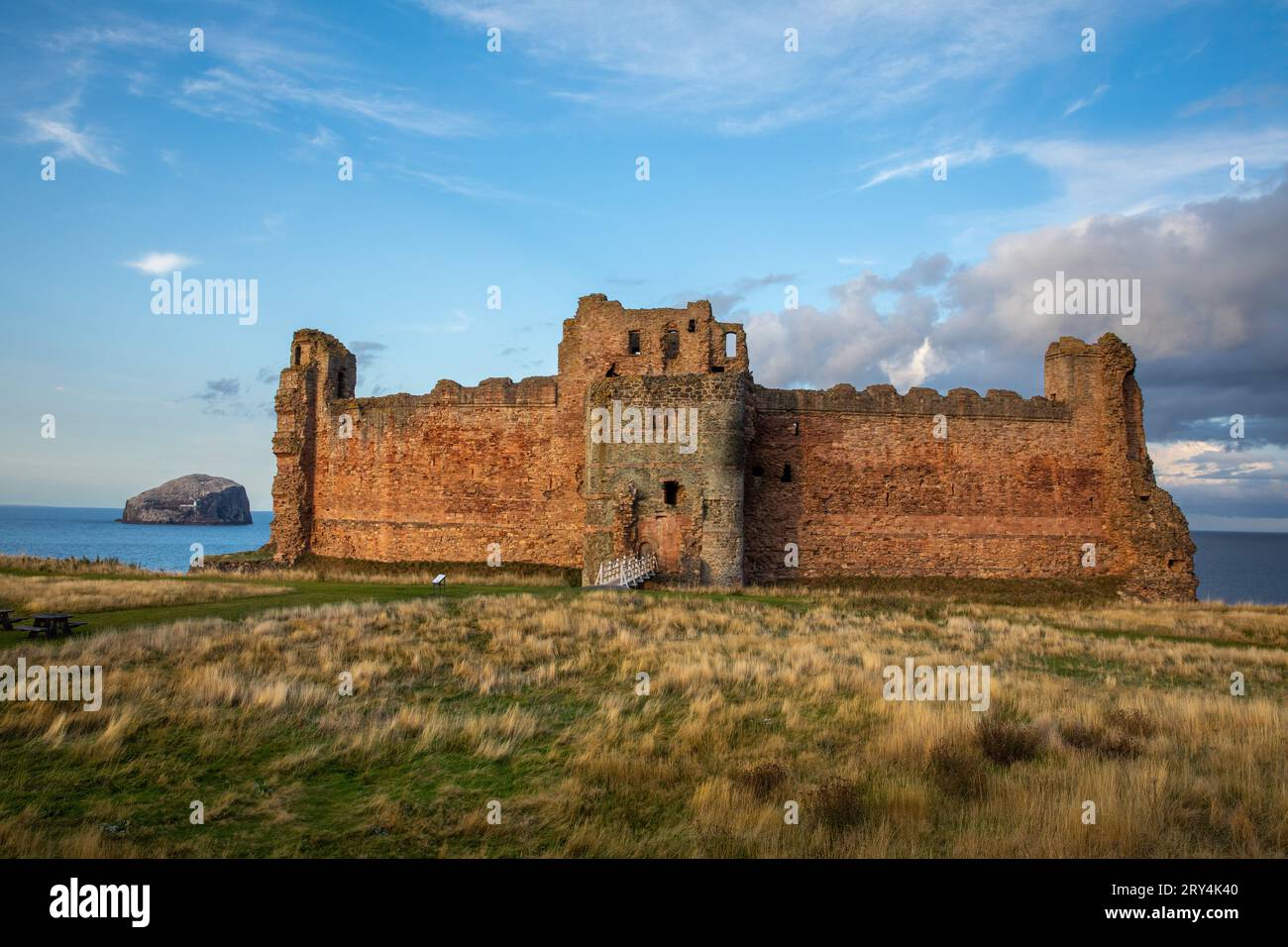 Tantallon Castle und Bass Rock, Firth of Forth, East Lothian, Schottland Stockfoto