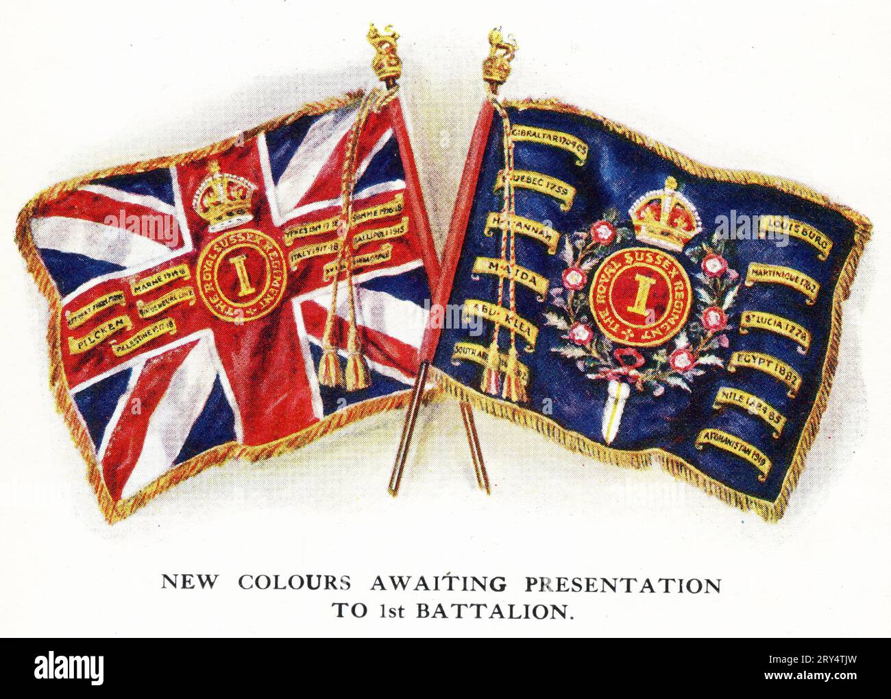 Halbton der neuen Farben des 1. Bataillons im Sussex-Regiment der 1920er Jahre Stockfoto