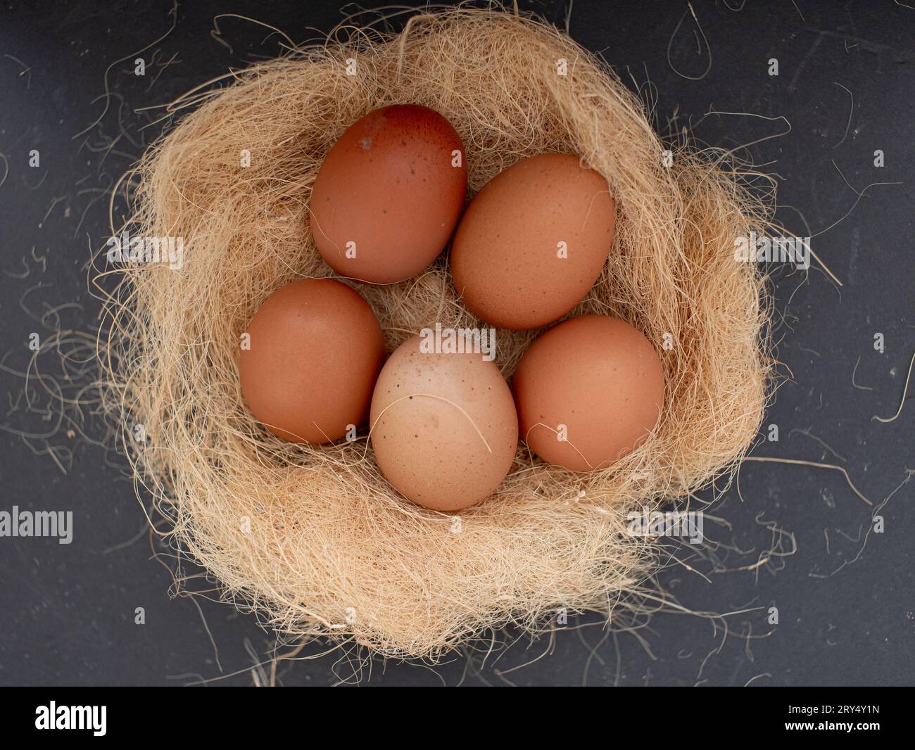Draufsicht auf frische Hühnereier auf trockenem Stroh, Konzept eines Bio-Bauernhofs Stockfoto