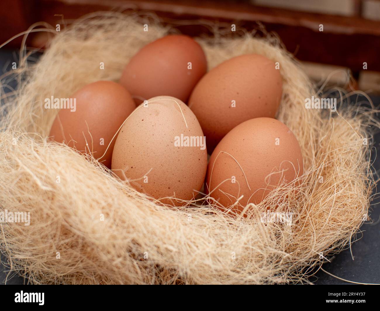 Frische Hühnereier auf trockenem Stroh, Konzept eines Bio-Bauernhofs Stockfoto