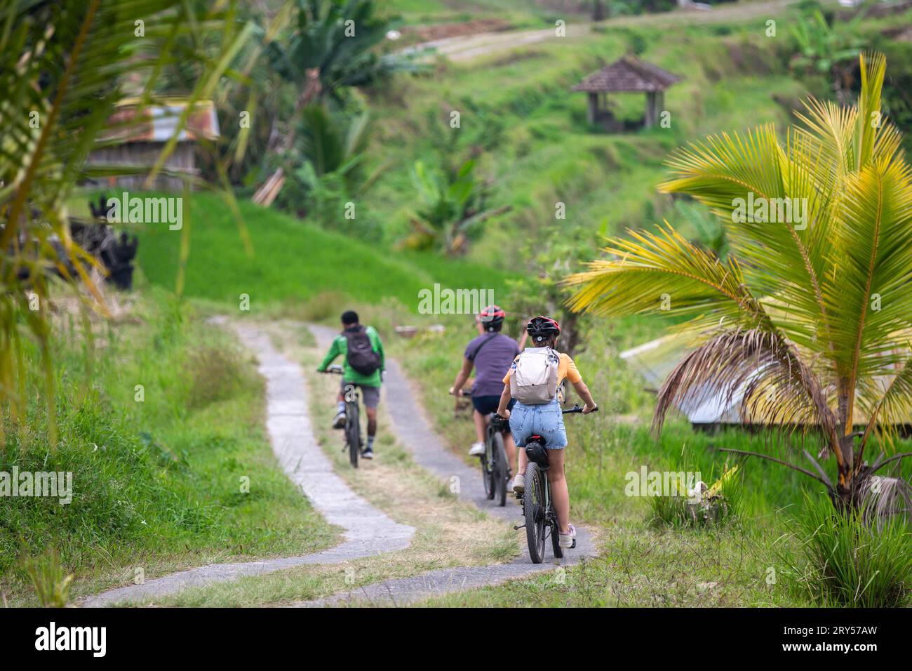 Eine Gruppe von Menschen, die auf einem Wanderweg auf einer exotischen Insel Fahrrad fahren Stockfoto