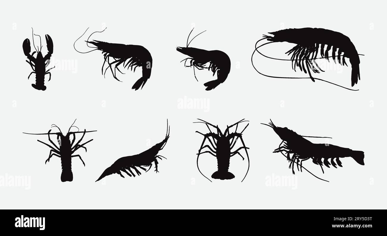 Majestätische Shrimps Silhouette: Eleganz im Schatten des Ozeans Stock Vektor