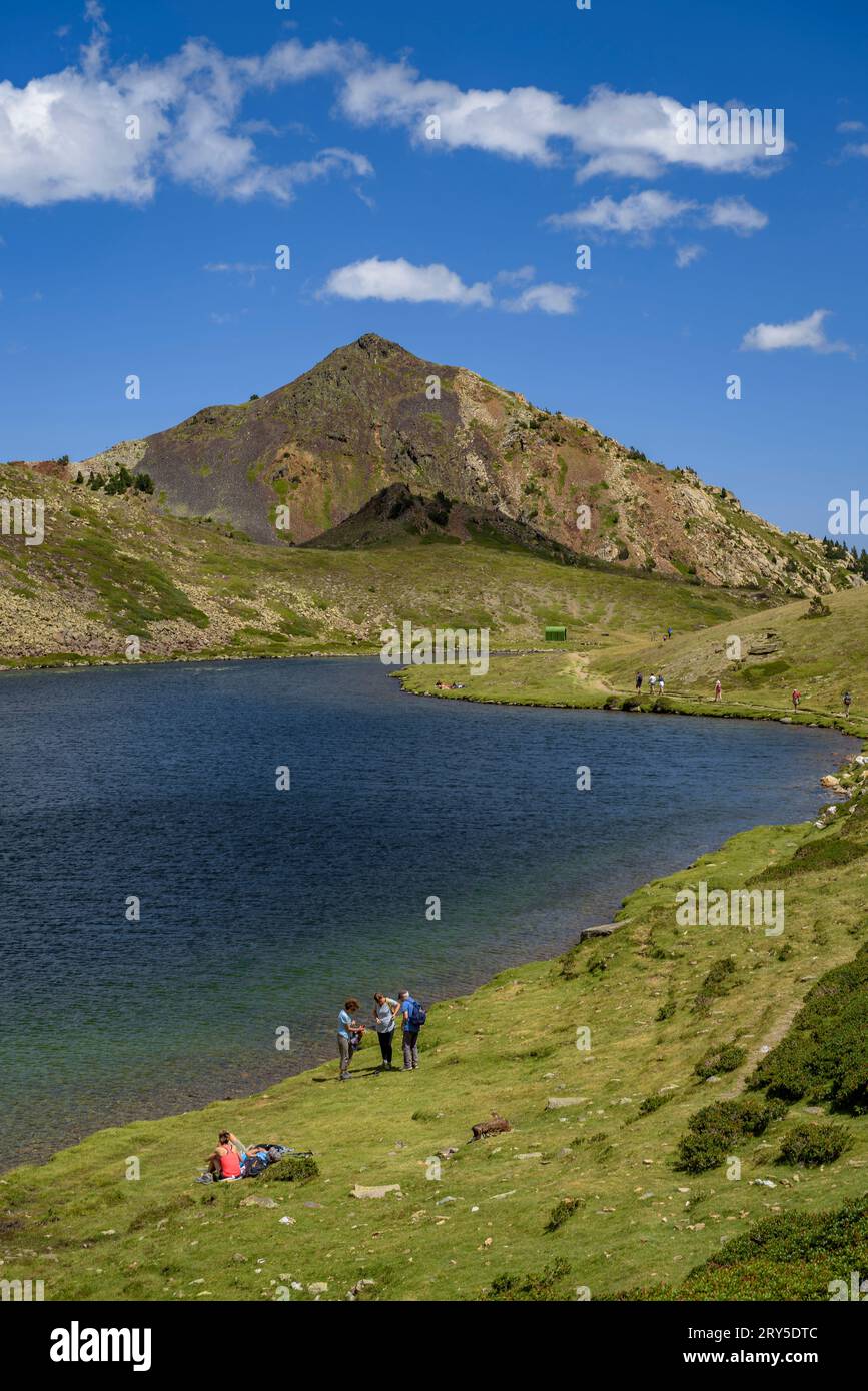 Estany de Trebens See an einem Sommernachmittag (Estanys del Carlit, Pyrenäen Orientales, Frankreich) ESP: Estany de Trebens en una tarde de verano (Francia) Stockfoto