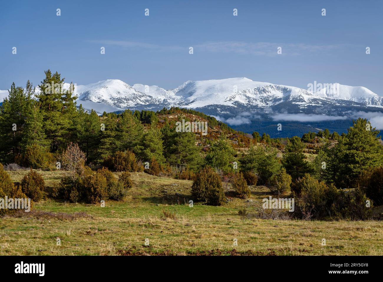 Tossa Plana de LLEs aus der Nähe von Estana in der Serra de Cadí an einem Wintermorgen (Cerdanya, Lleida, Katalonien, Spanien, Pyrenäen) Stockfoto