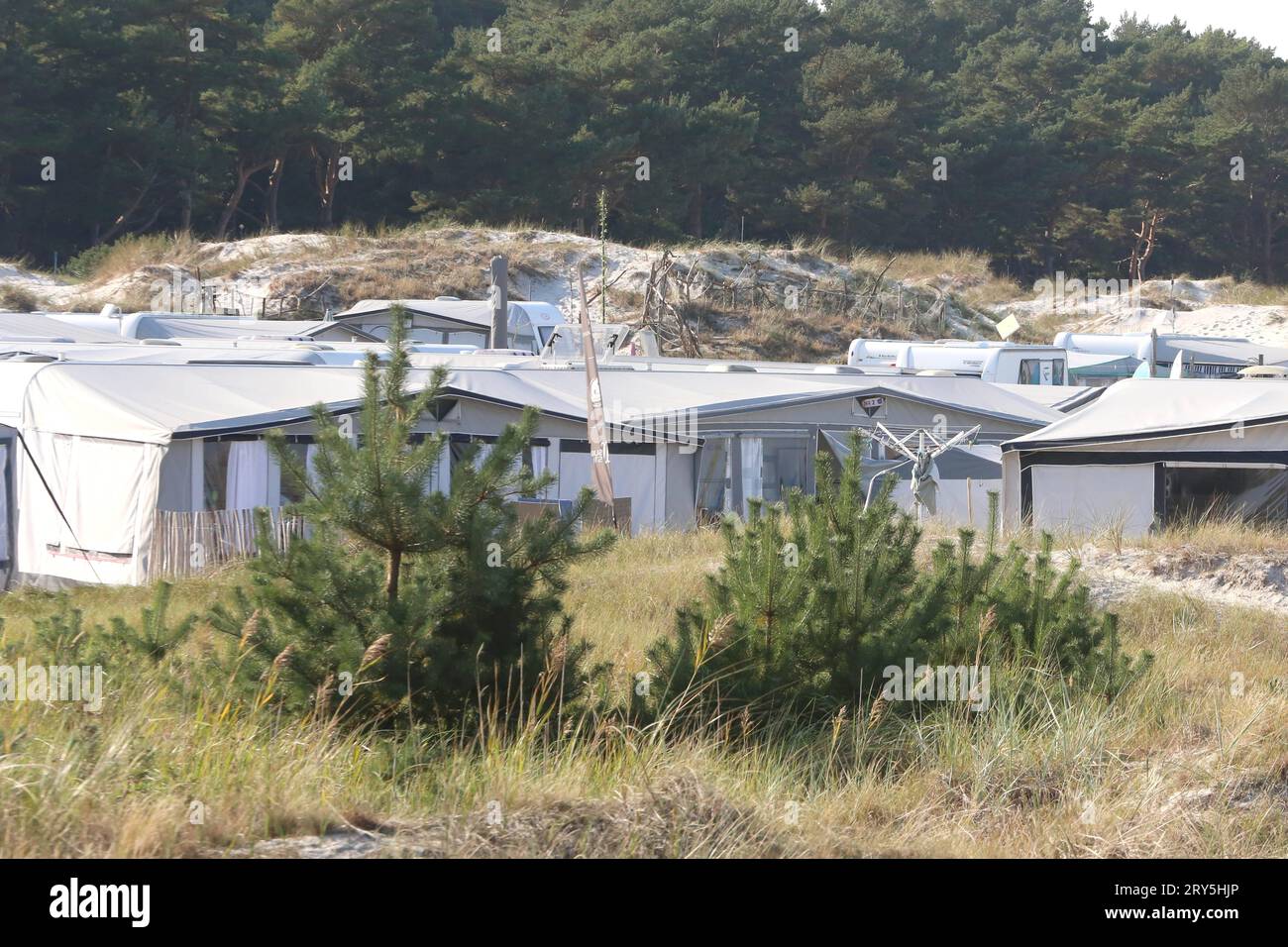 Blick am Donnerstag 28.09.2023 in Prerow Vorpommern Rgen auf das rtliche  Regenbogen-Camp im Nationalpark Vorpommerische Boddenlandschaft. Das Camp  hat im Verlauf des Jahres seinen Pchter gewechselt. Dazu gibt es in der  Vergangenheit