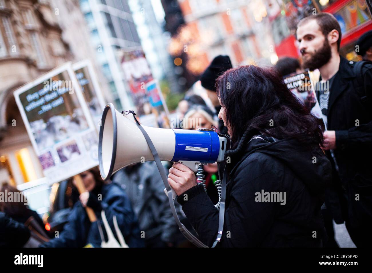 Tierschutzproteste vor Harvey Nichols London 30. November 2013 - Lady spricht in Megaphon Stockfoto