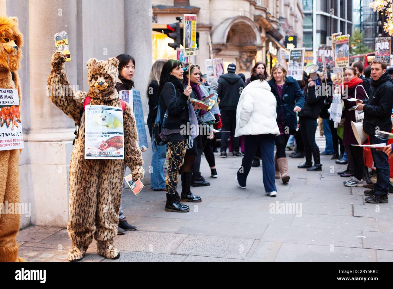 Tierrechtsproteste gegen Pelzfeinde vor Harvey Nichols London 30. November 2013 - Aktivisten in Bärenkostüm Stockfoto