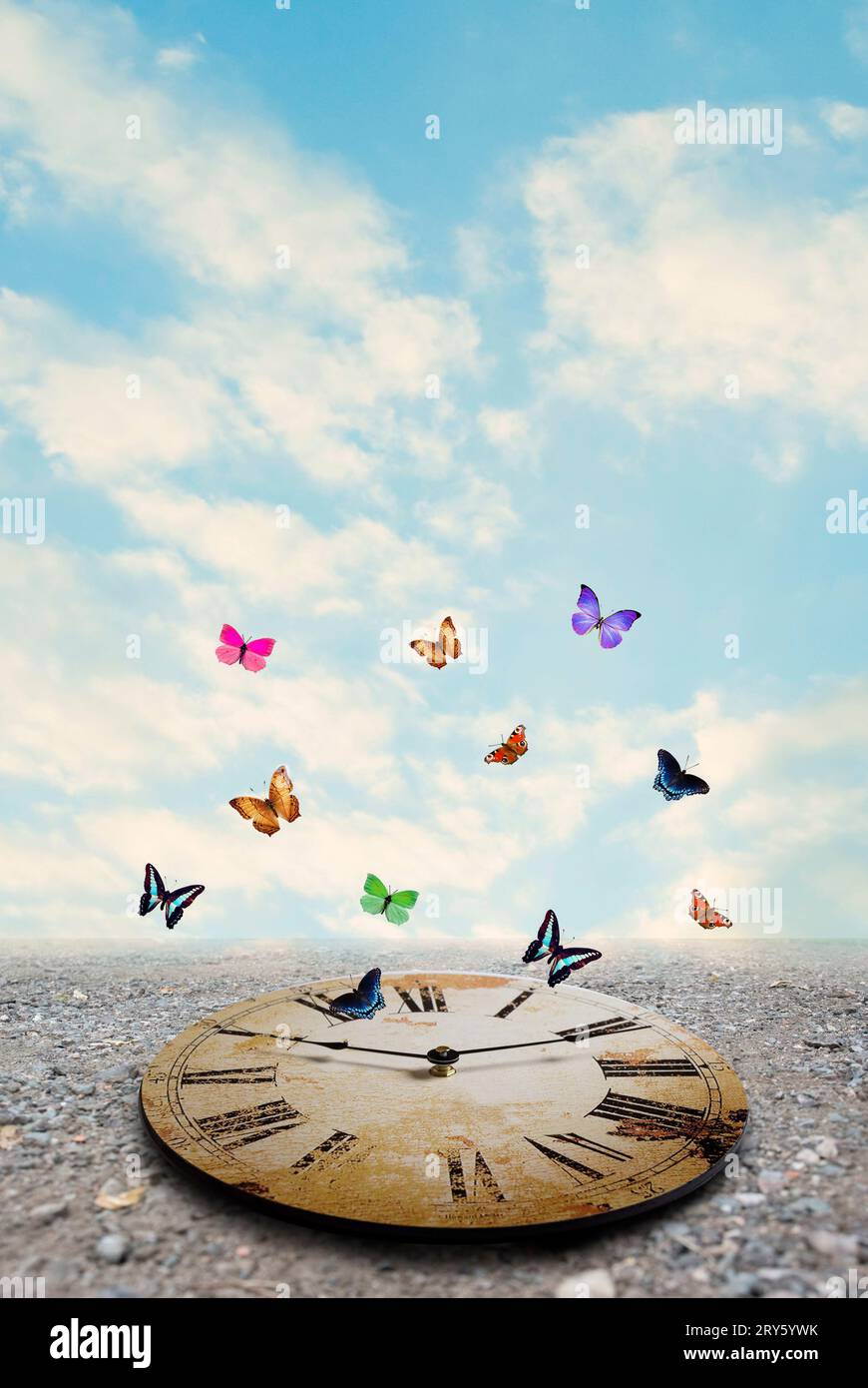 Bunte Schmetterlinge fliegen rund um die Uhr Stockfoto