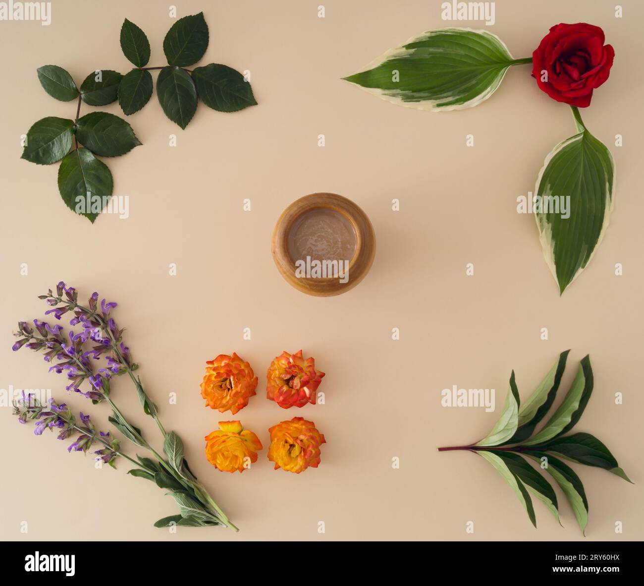 Kreatives minimales Layout aus Blumen, grünen Blättern und einer Tasse Kaffee. Die Idee der Naturkomposition. Coffee Flat Lay Konzept. Blumenästhetik. Stockfoto