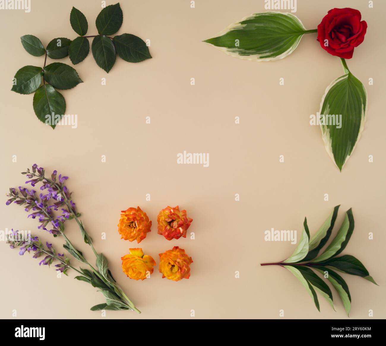 Kreativer Rahmen aus verschiedenen Blumen und grünen Blättern. Blumenästhetische Idee. Minimales flaches Lagenkonzept. Stockfoto