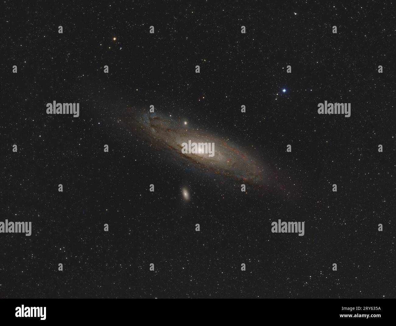 Eine Hommage an M31, die Andromeda Galaxy Stockfoto