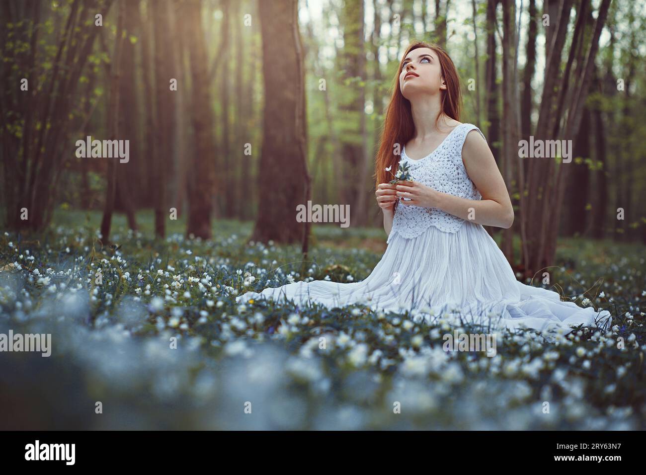 Romantische Frau auf einer Wiese voller weißer Blumen Stockfoto