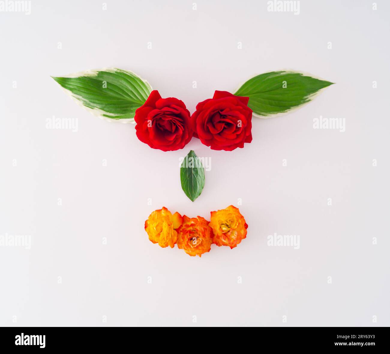 Hundegesicht aus verschiedenen Blumen und Blättern. Kreative Idee für minimalen flachen Lay. Blumenästhetik. Stockfoto