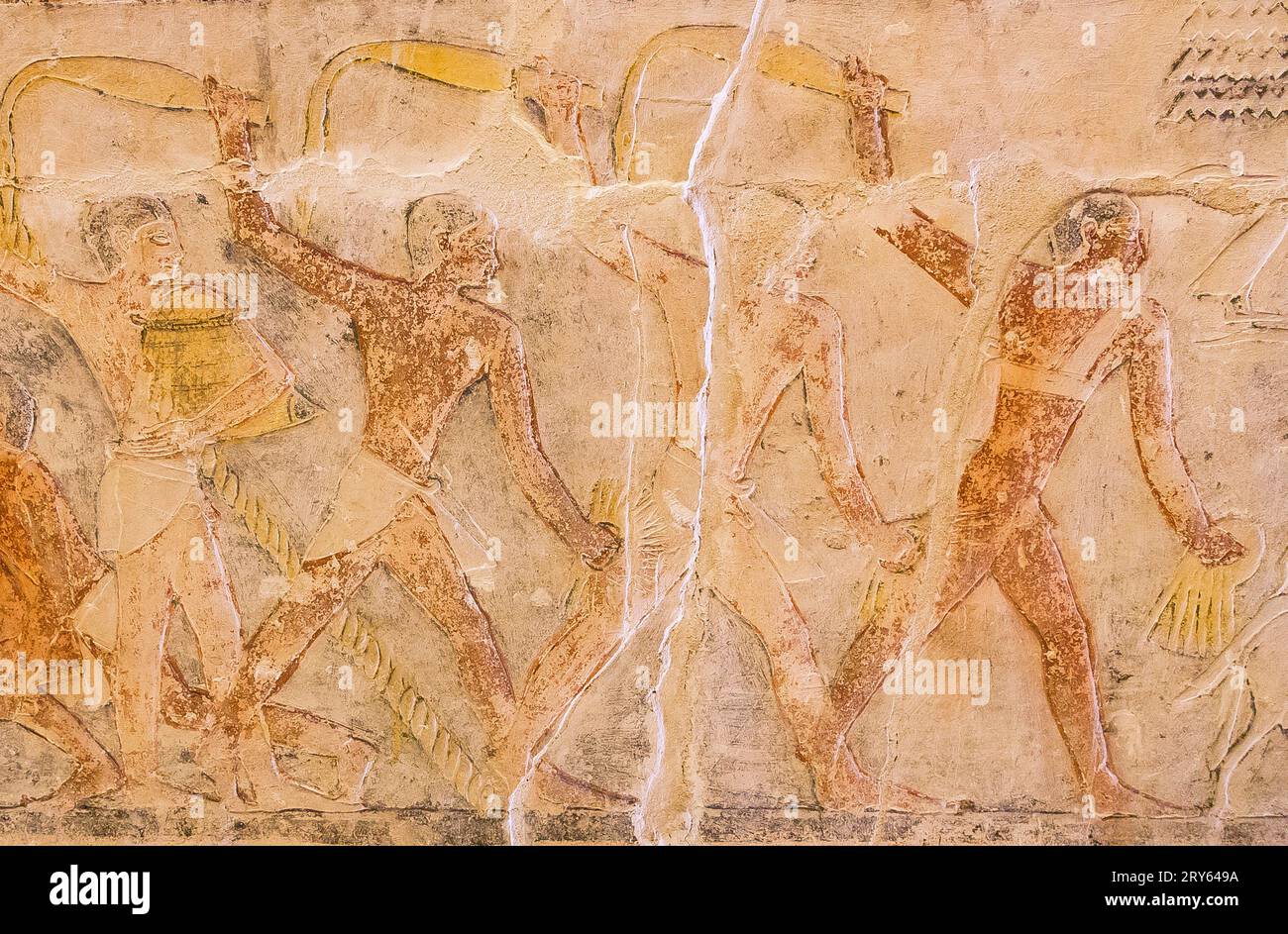 Ägypten, Sakkara, Grab von Mehu, Landwirtschaft: Führt die Schafe, damit sie auf Getreide treten. Stockfoto