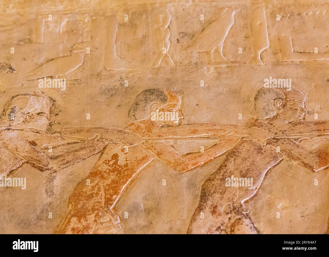 Ägypten, Sakkara, Grab von Mehu, Vögel mit dem Netz fangen: Am Seil ziehen. Stockfoto