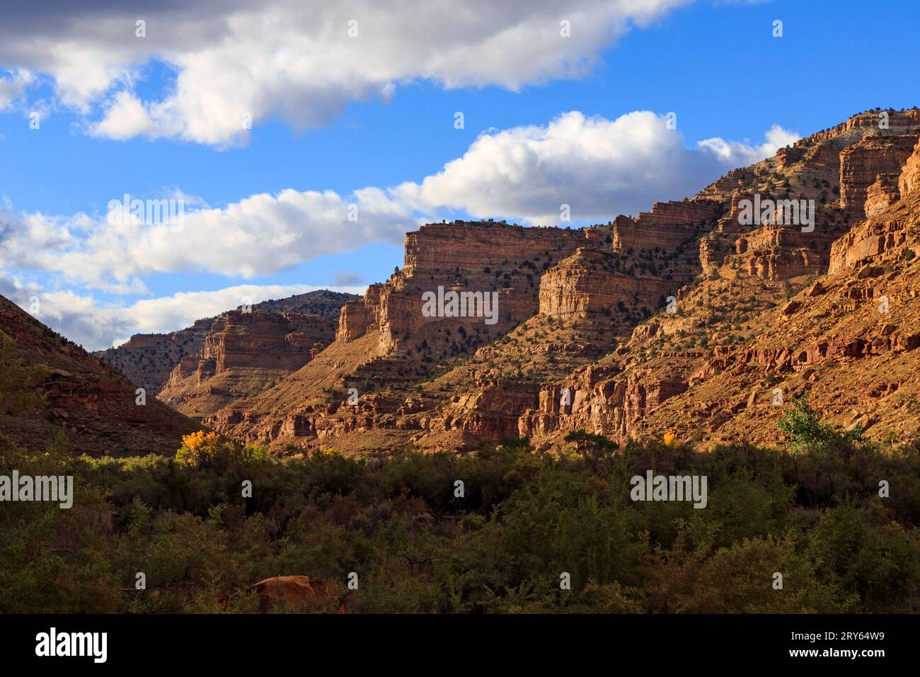 In dieser Ansicht erstrahlt die Sonne am späten Nachmittag die roten Felswände im Nine Mile Canyon in der Nähe von Price, Carbon County, Utah, USA. Stockfoto