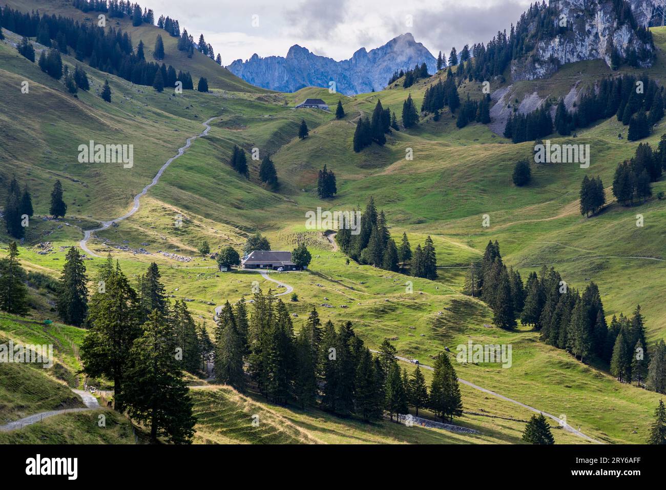 Die urzeitliche Landschaft von Brecca ist ein abwechslungsreiches Wandergebiet. Jaun, Schweiz Stockfoto