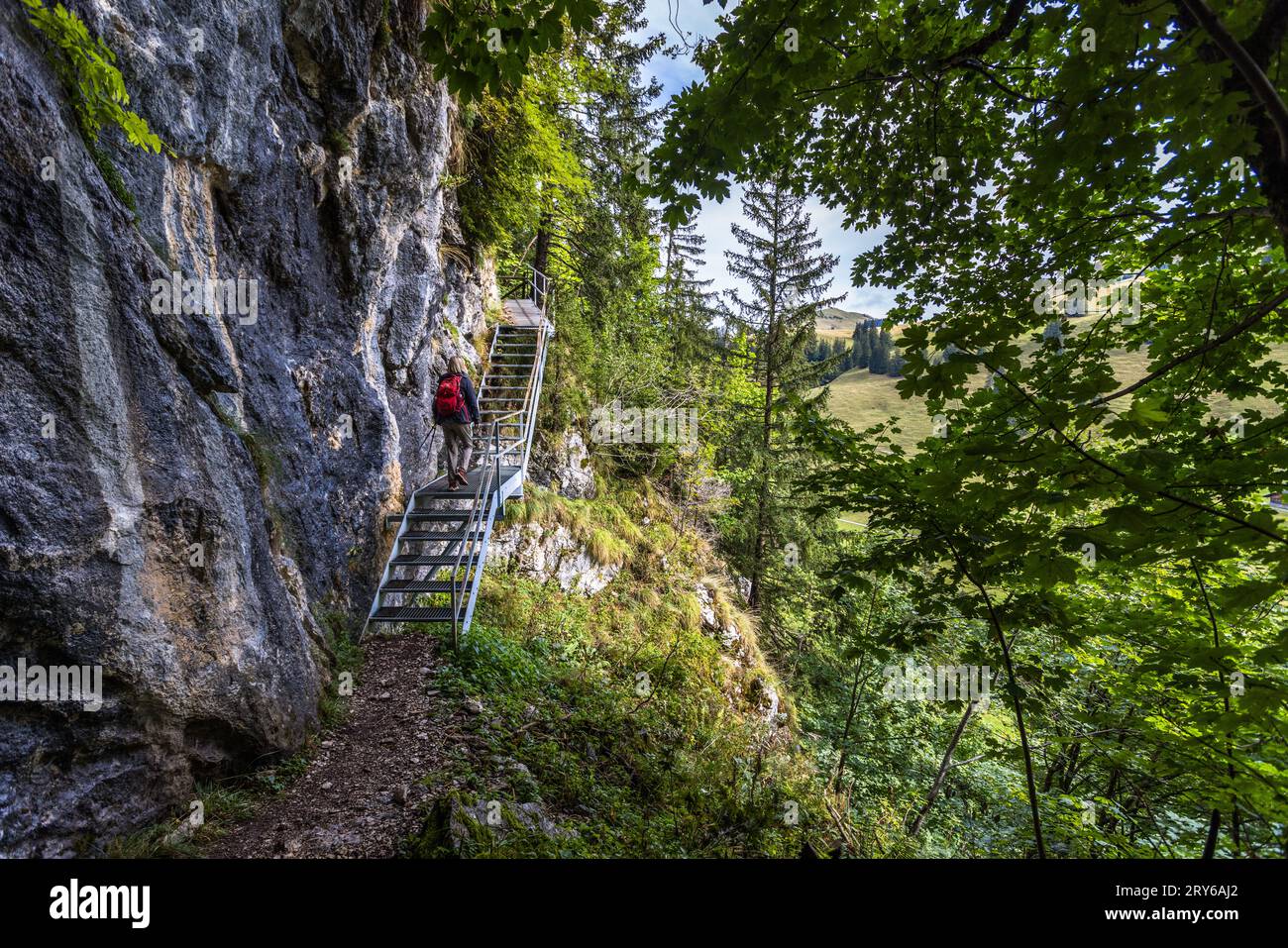 Die urzeitliche Landschaft von Brecca ist ein abwechslungsreiches Wandergebiet. Jaun, Schweiz Stockfoto