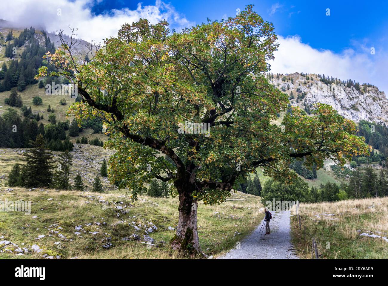 Die urzeitliche Landschaft von Brecca ist ein abwechslungsreiches Wandergebiet. Jaun, Schweiz Stockfoto