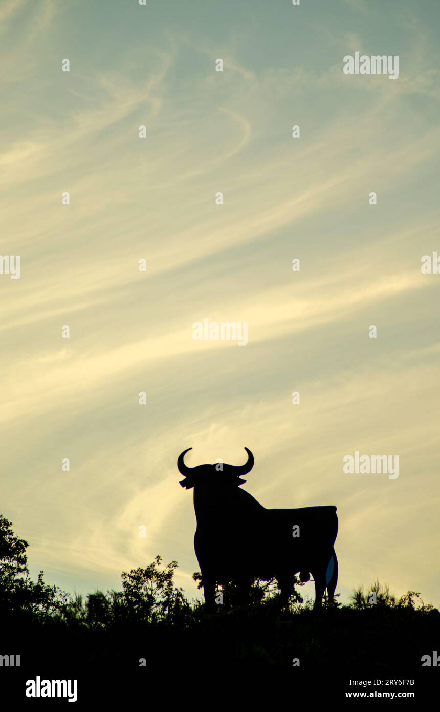Silhouette des Osborne-Bullen bei Sonnenuntergang. Symbol für Straßenwerbung in Spanien. Stockfoto