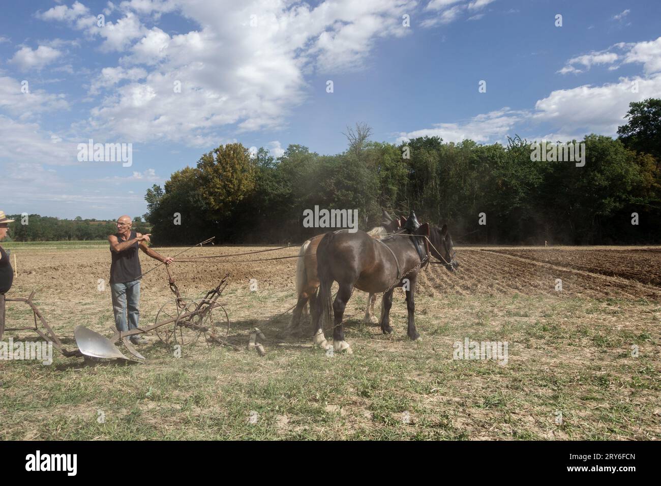 Ein Bauer mit Pferdepflug bei einem Wettkampf. Stockfoto