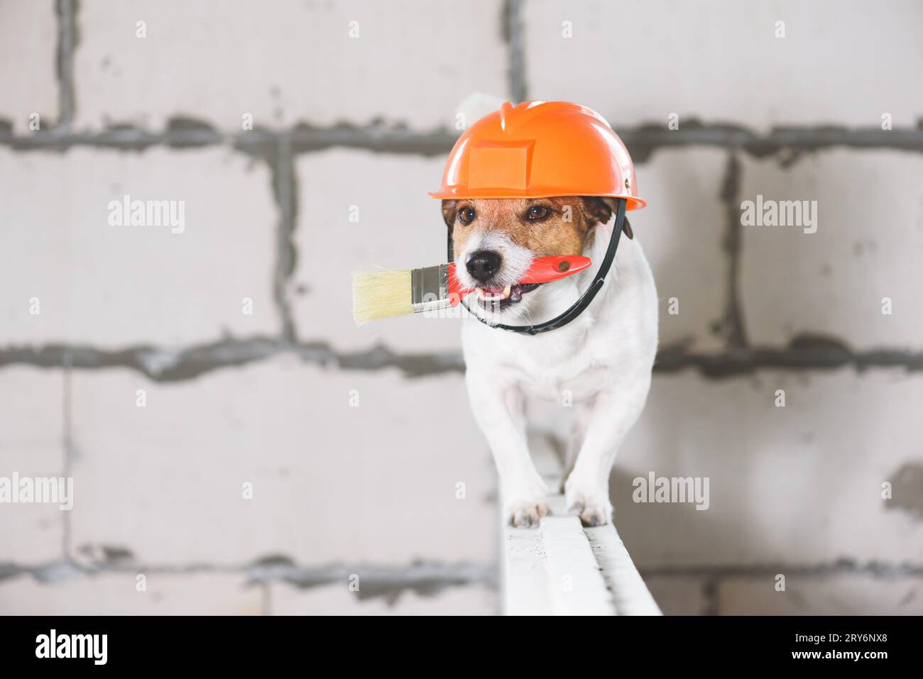 Humorvoller geschickter und geschickter Baumeister im Schutzhelm mit Pinsel auf der Baustelle Stockfoto