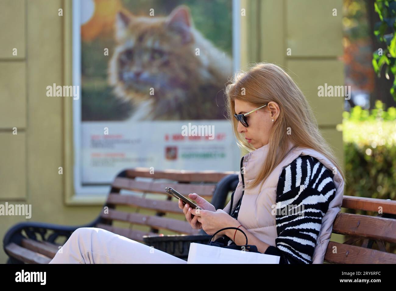 Frau in Brille mit Smartphone sitzt auf einer Bank auf der Straße der Stadt auf einem Banner mit Katzenhintergrund Stockfoto