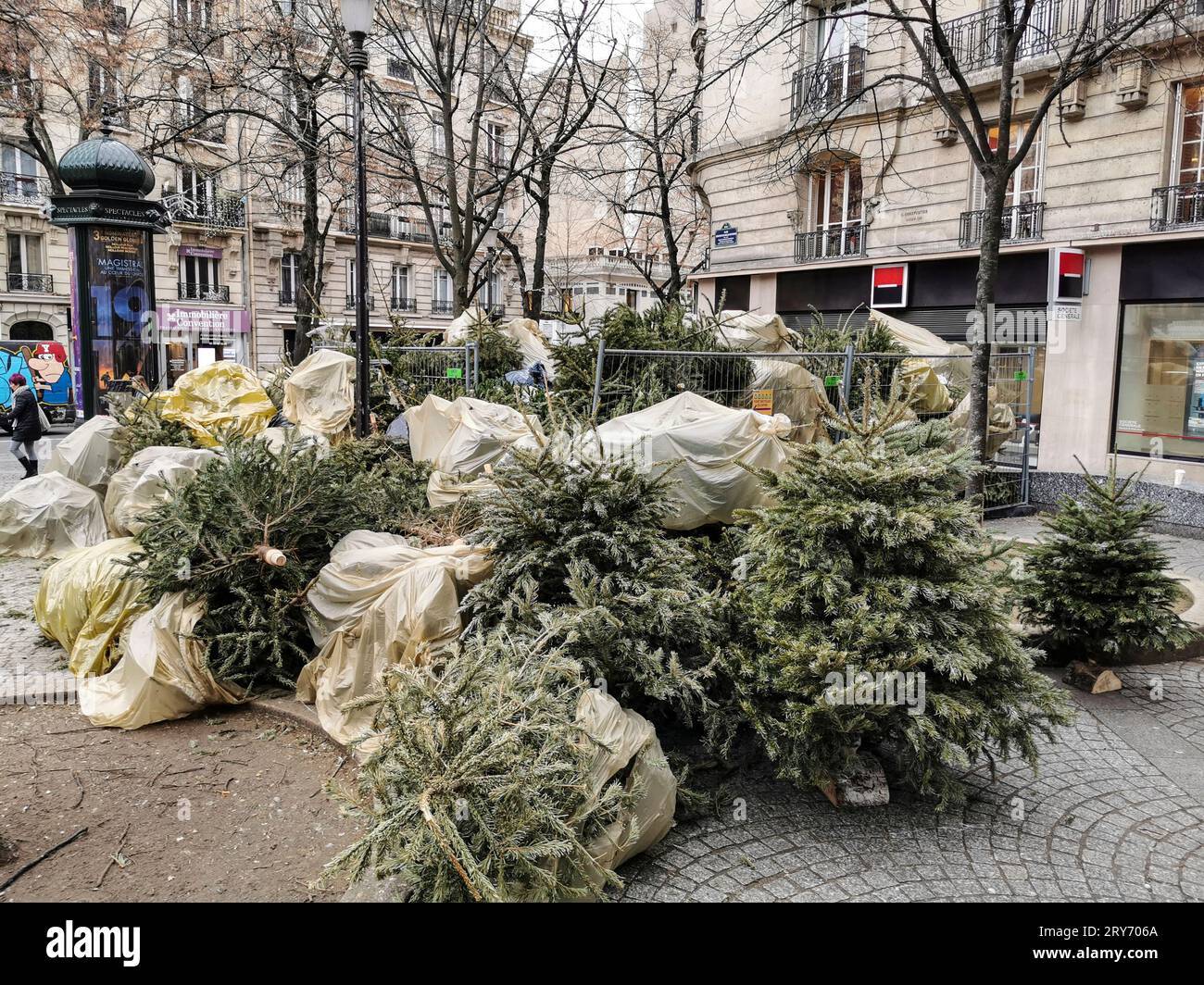 ENTSORGEN SIE IHREN WEIHNACHTSBAUM IN PARIS Stockfoto