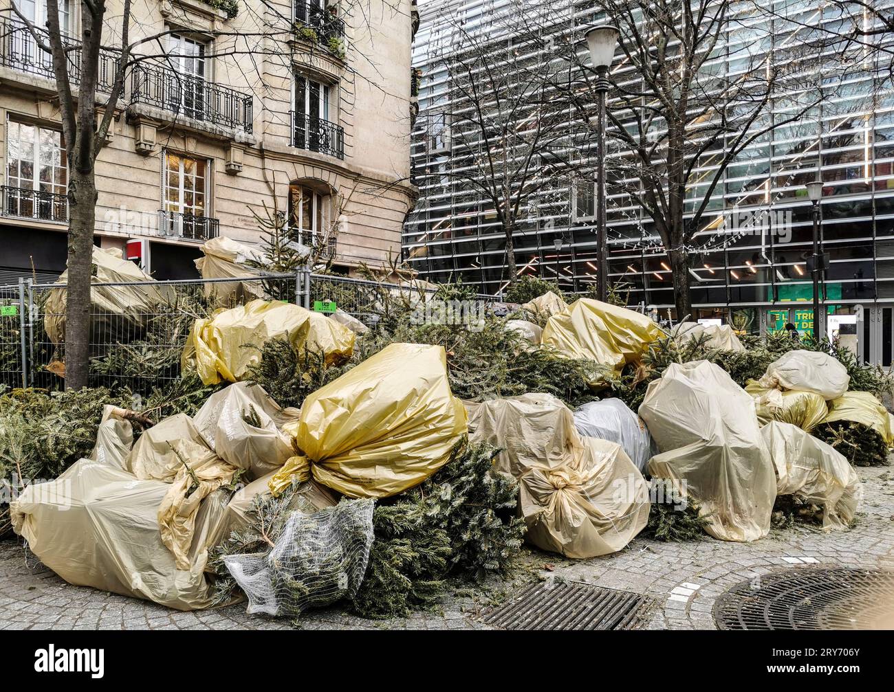 ENTSORGEN SIE IHREN WEIHNACHTSBAUM IN PARIS Stockfoto