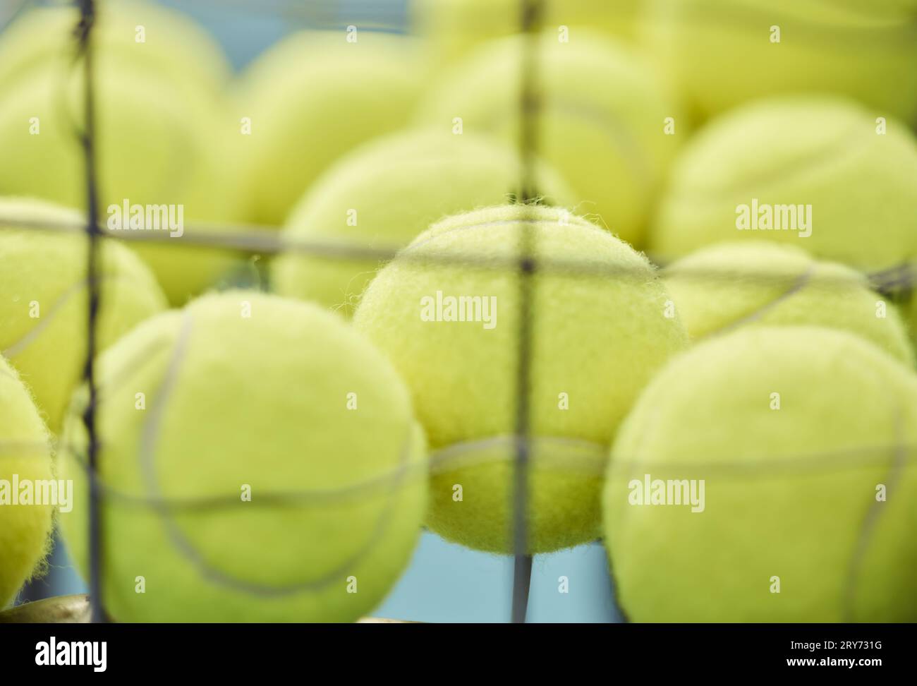 Tennisball, Nahaufnahme und Korb für Training oder Sport für Übung, Kardio oder dienen für Spiel. Sportausrüstung, Turnier und Rasen für Profis Stockfoto