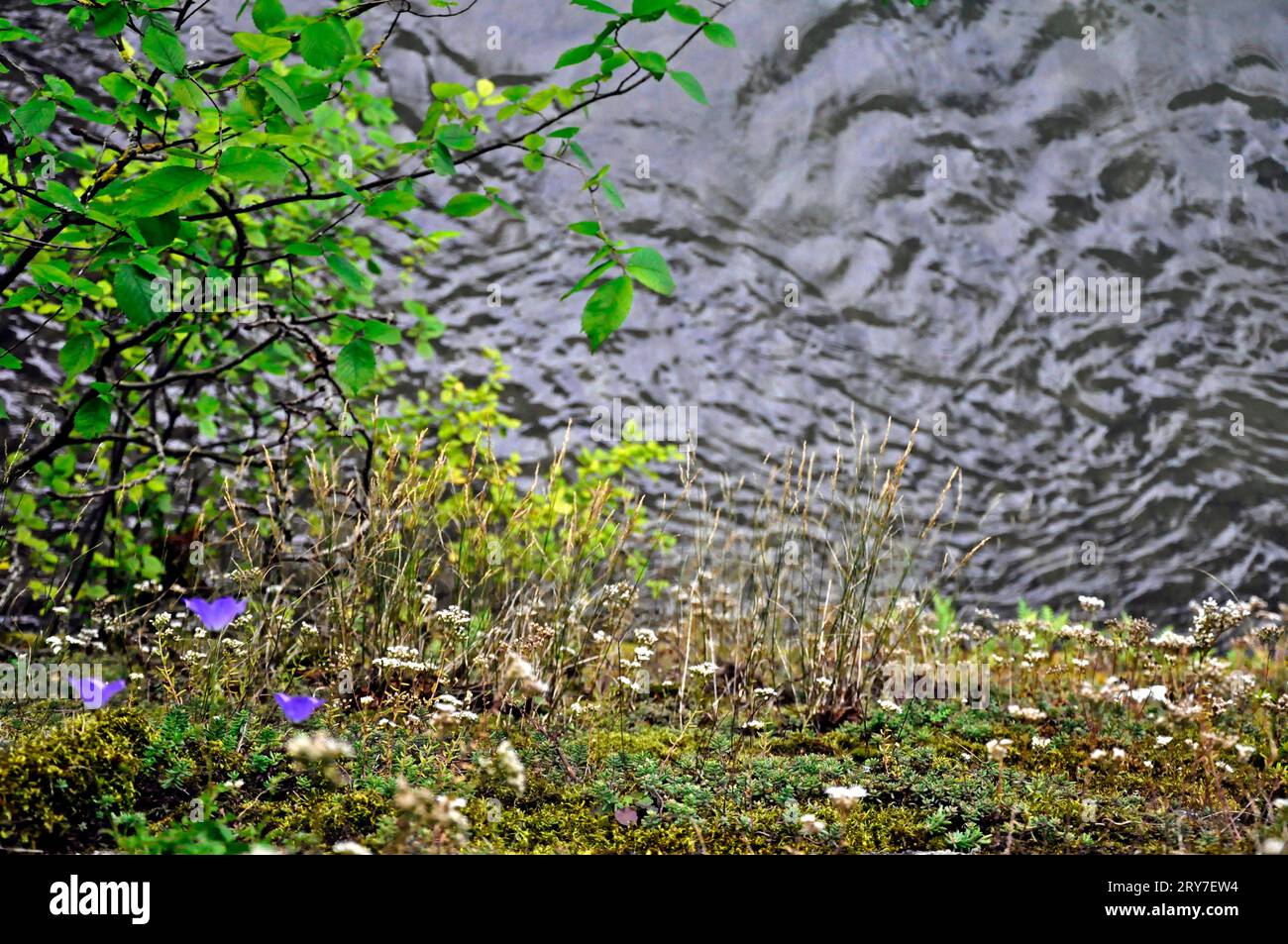 Wasser-Himmel Stockfoto