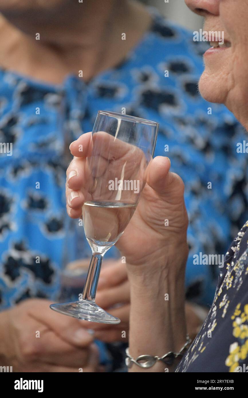 Ältere Frauen mit Weinglas flixton norfolk england Stockfoto