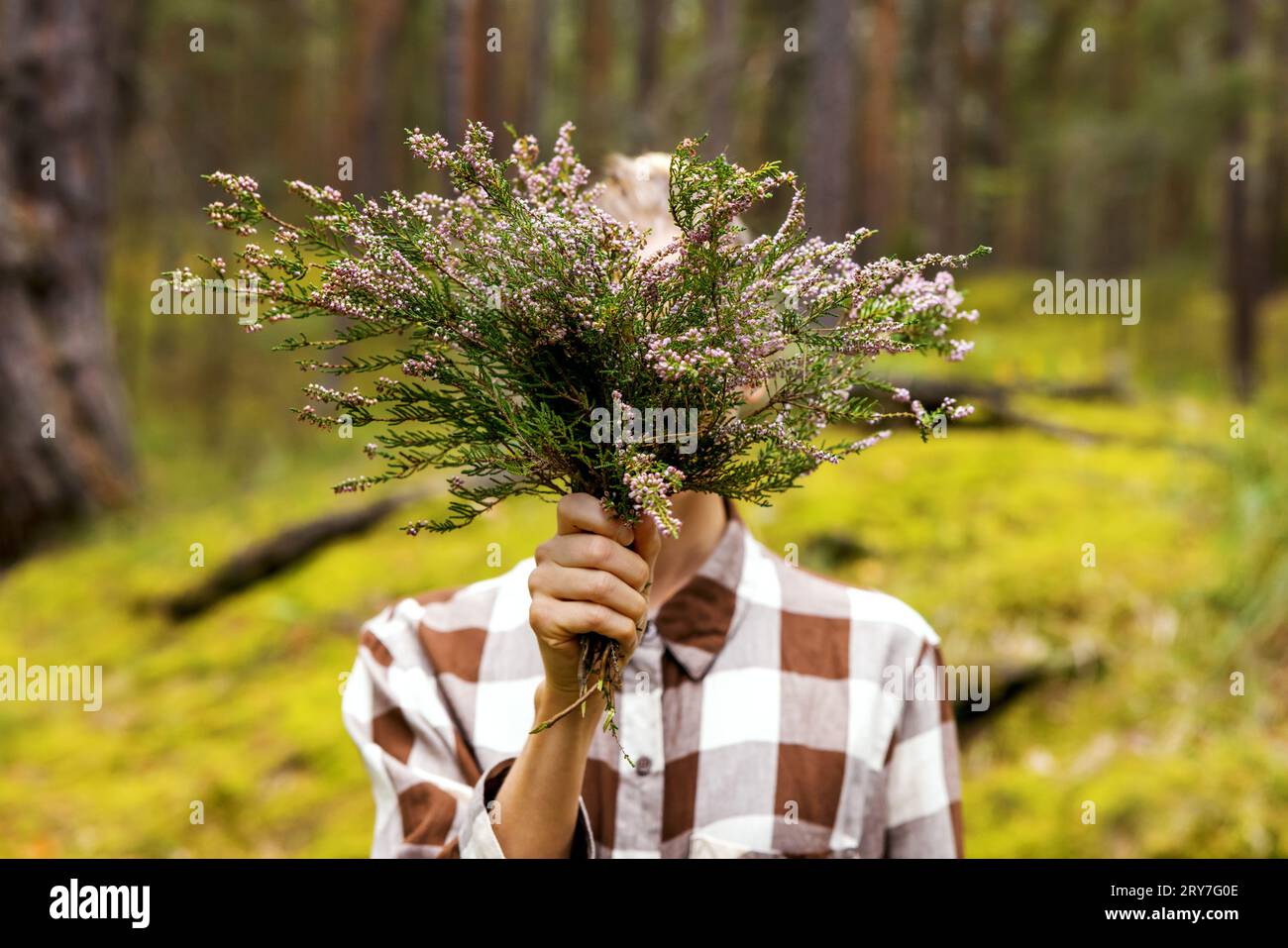 Eine Frau im Wald, die einen Blumenstrauß Heidekraut vor ihrem Gesicht hält Stockfoto