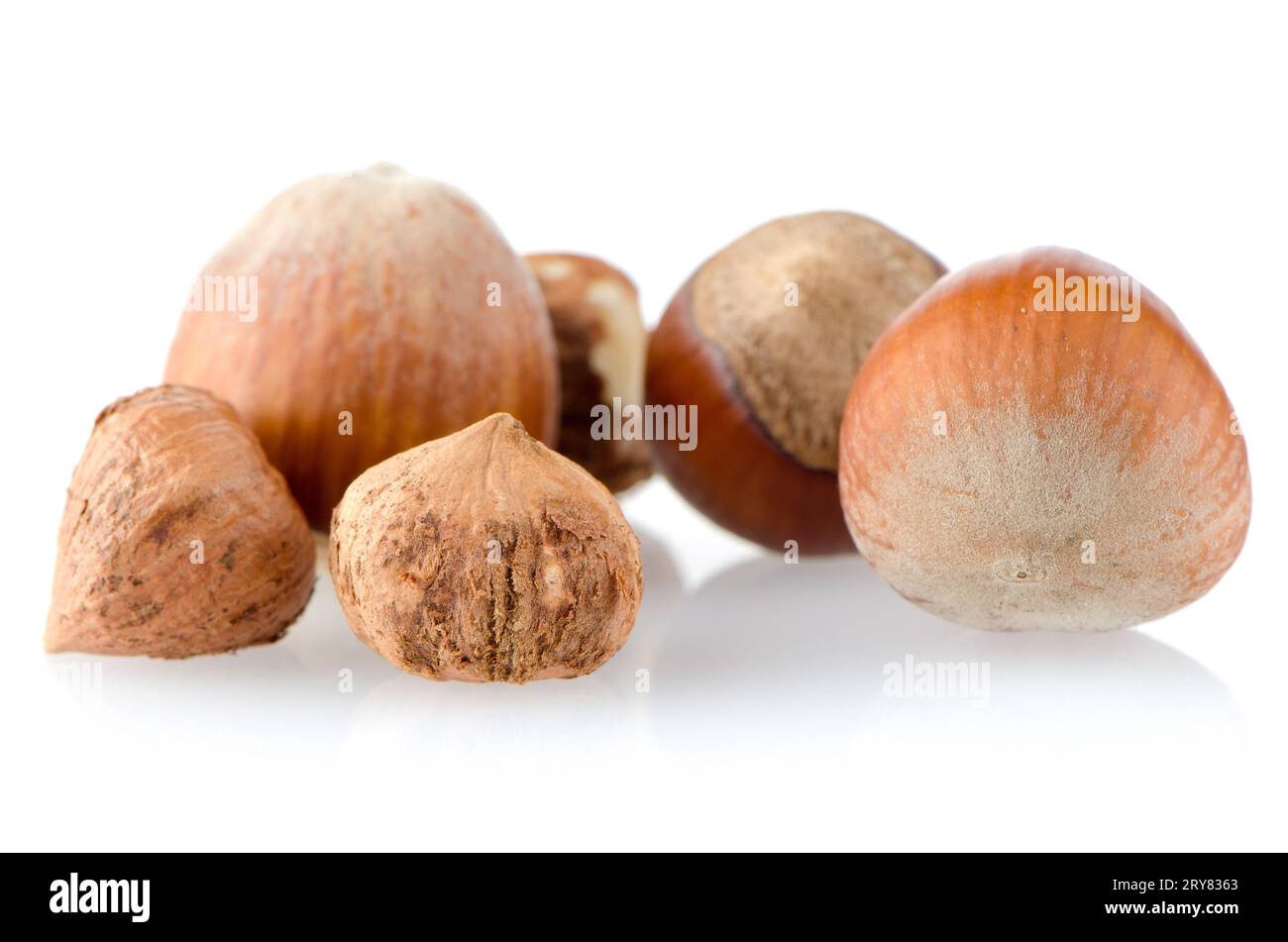 Frische Haselnüsse Stockfoto