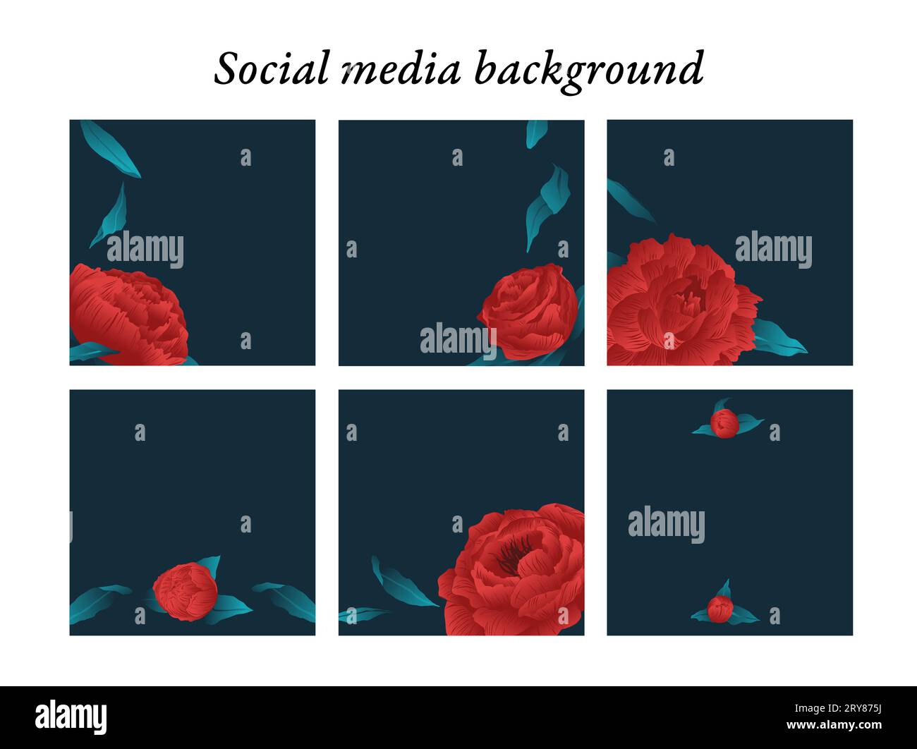 Social-Media-Post-Design-Vorlagen mit modernen floralen Motiven in Rottönen und dunklem Hintergrund mit Platz für Text und Bilder. Stockfoto