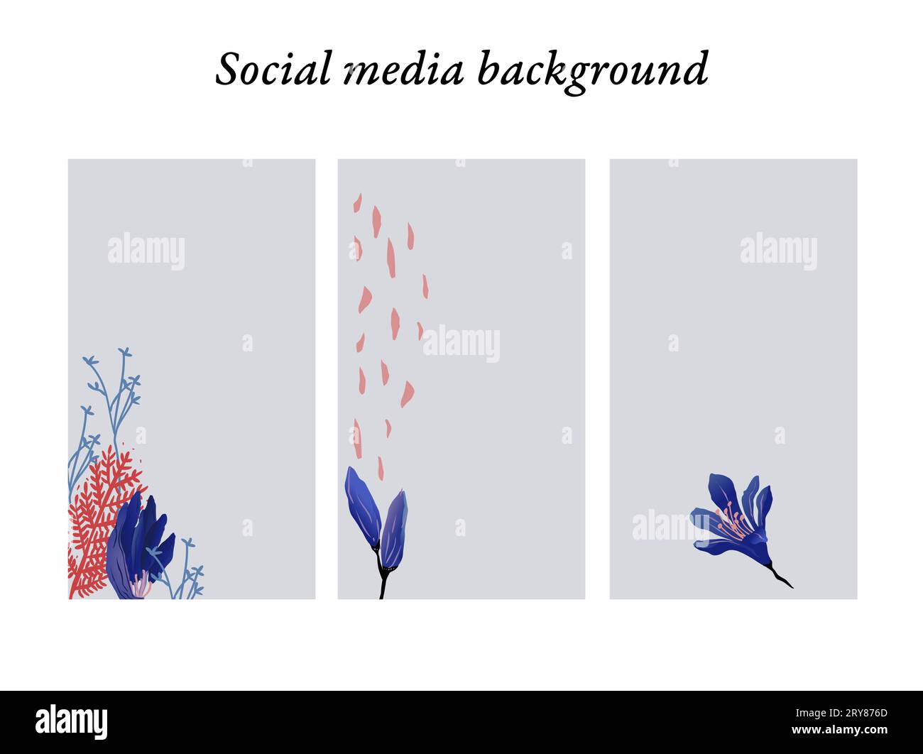 Social-Media-Story-Design-Vorlagen mit modernen Blumenmotiven in Blau- und Rottönen mit Platz für Text und Bilder Stockfoto