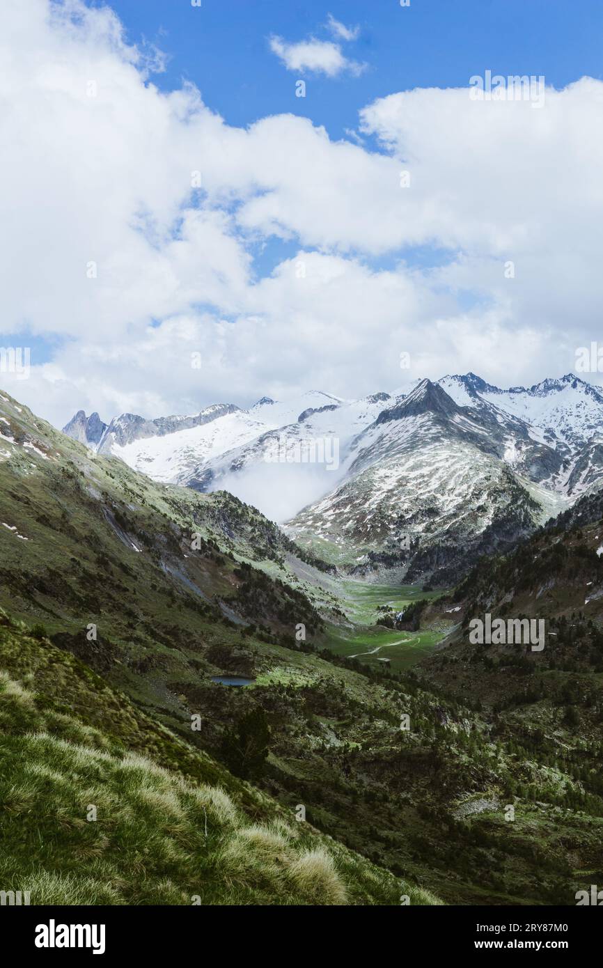 Grünes Tal mit schneebedeckten Bergen im Hintergrund in den spanischen Pyrenäen Stockfoto