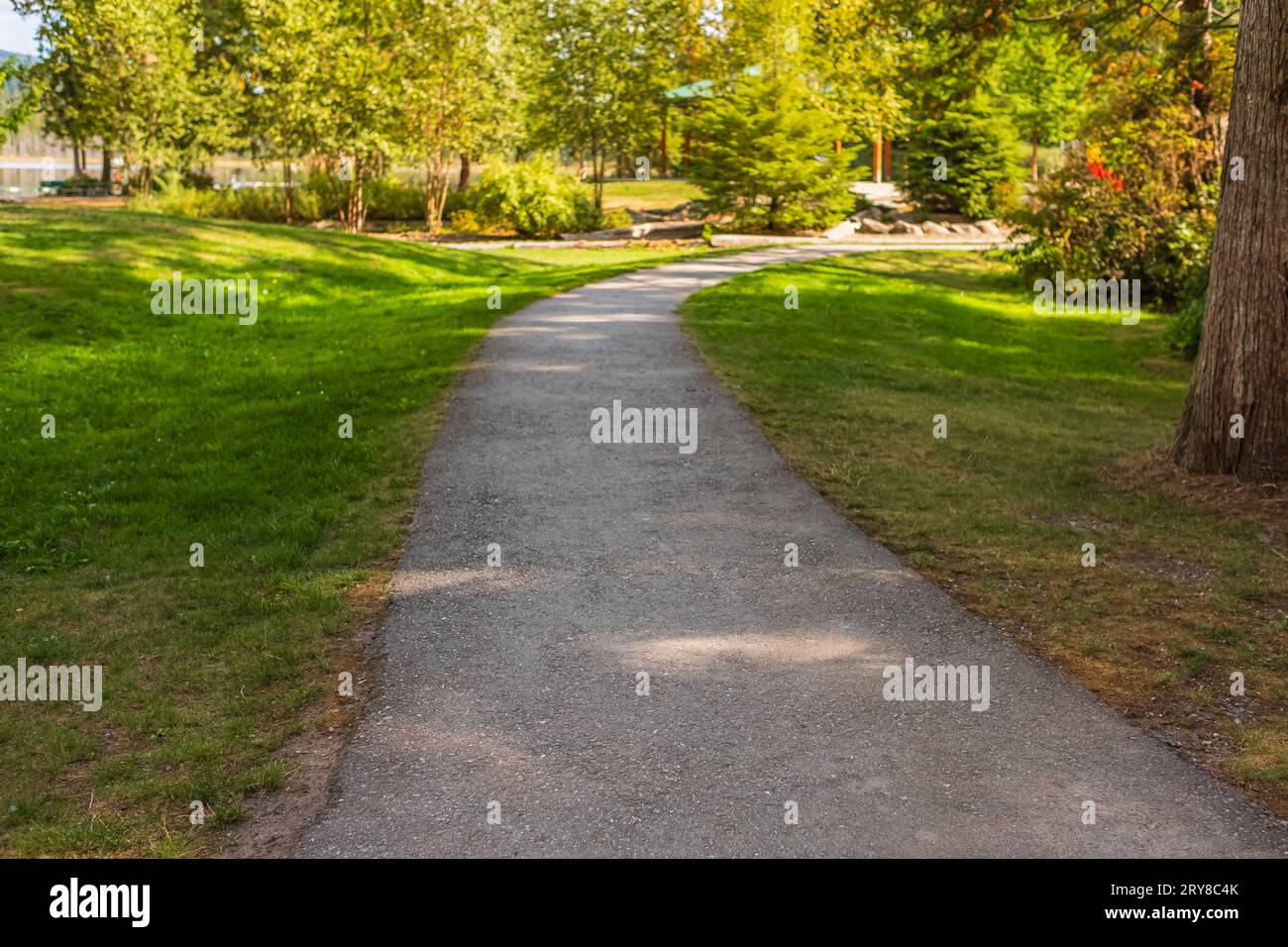 Walkway Lane Path mit grünen Bäumen im Stadtpark. Wunderschöne Alley, Straße im Park. Pfad durch den Summer Park mit wunderschönen Bäumen, Laufstrecke zum Joggen oder Stockfoto