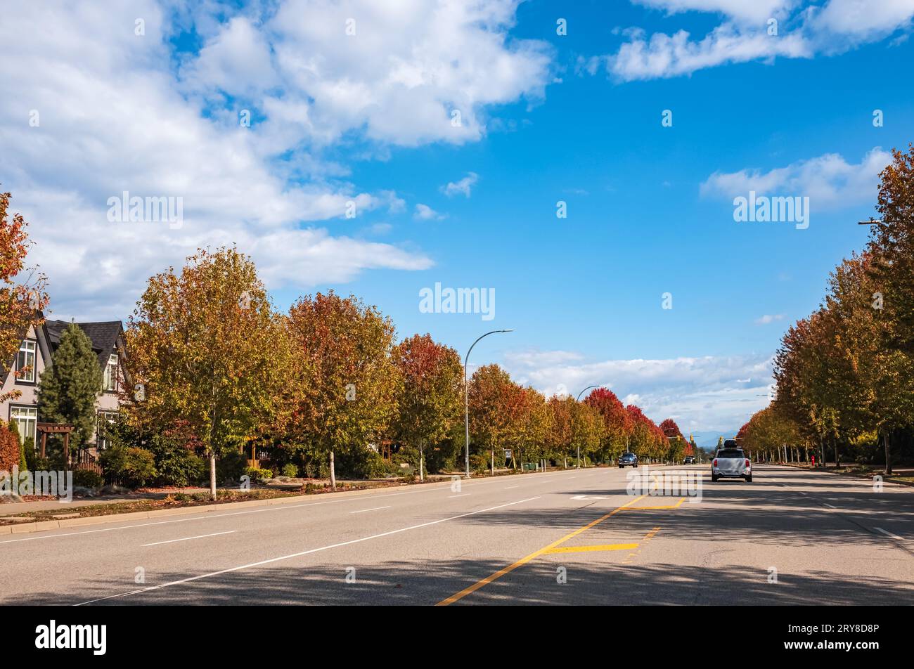 Herbstlandschaft mit langen Reihen goldroter Bäume entlang einer Allee im Herbstlaub Vancouver Canada. Wunderschöne warme saisonale Szene, in der das Auto entlang fährt Stockfoto